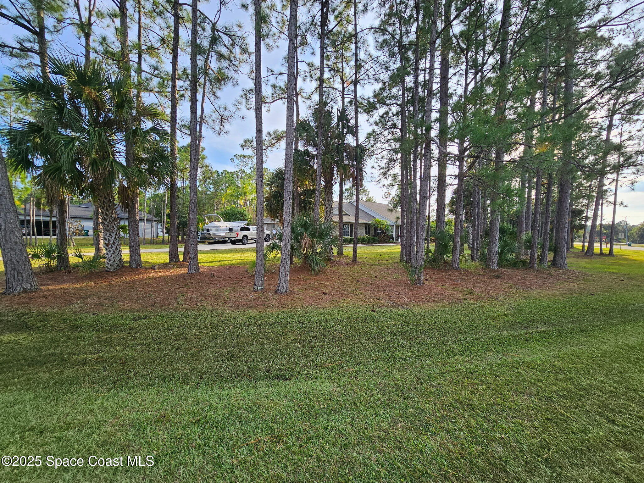 3094 Green Turtle Circle Mims, FL 32754 - Photo 5 of 63 a view of a park with large trees