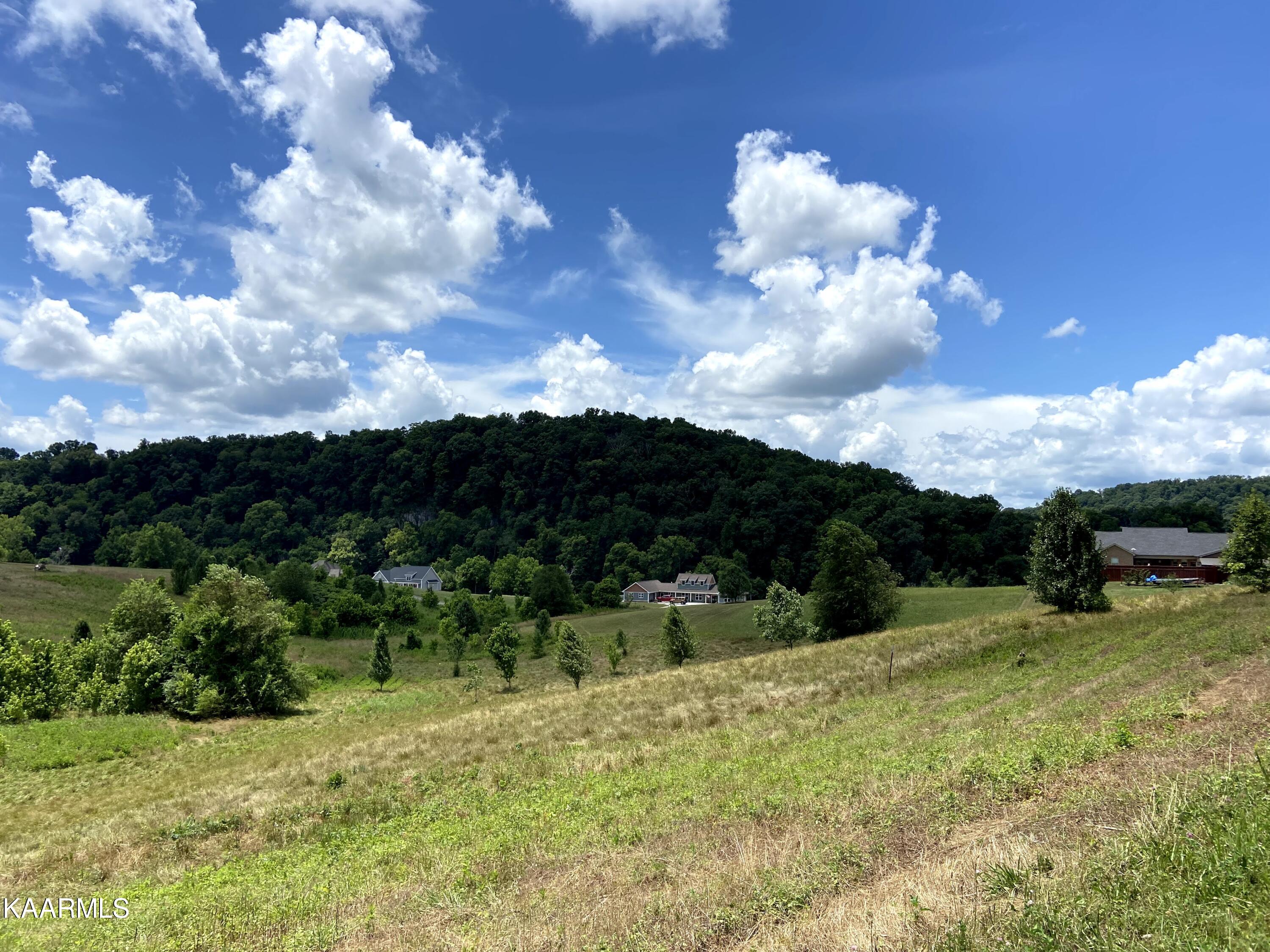 35-36 Stone Road Blaine, TN 37709 - Photo 2 of 10 IMG-5441-Original