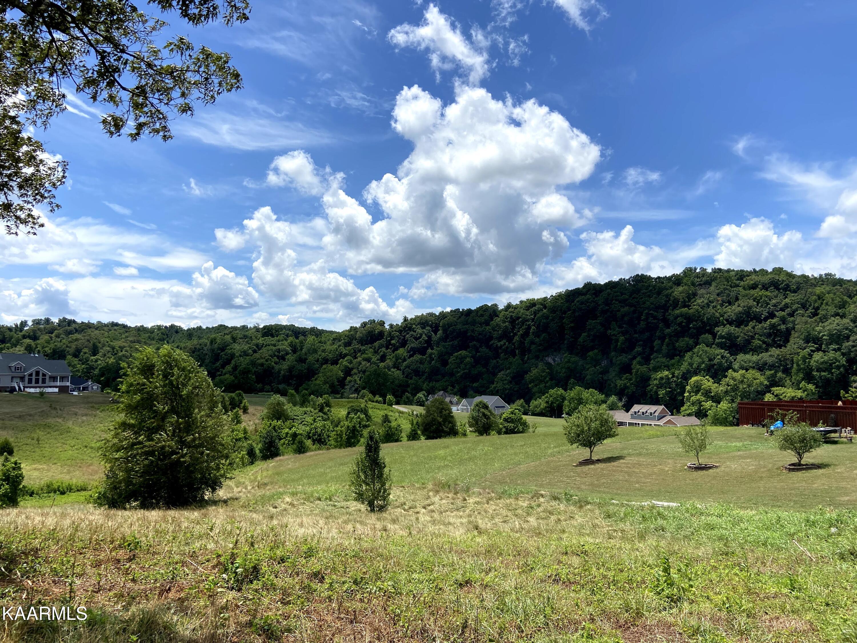 35-36 Stone Road Blaine, TN 37709 - Photo 6 of 10 IMG-5446-Original