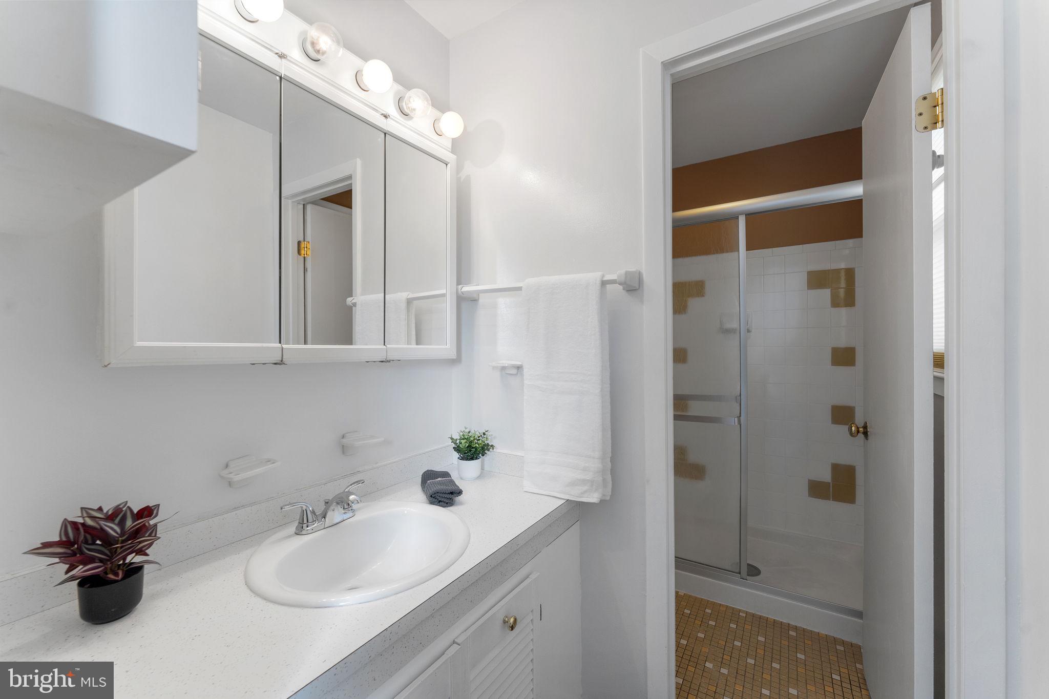 8800 Loughran Road Fort Washington, MD 20744 - Photo 21 of 56 Private bath in main bedroom dressing area