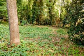 585 Mountain Road Westminster, SC 29693 - Photo 12 of 20 Discover a verdant expanse, offering ample space and tranquility amidst natural surroundings.