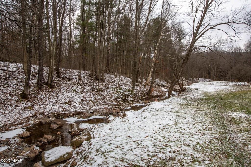114 Packard Road Covington, PA 16917 - Photo 32 of 33 973A6466_1024x683