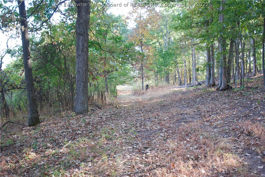 1755 Doc Casto Road Leon, WV 25123 - Photo 7 of 32 Gallery Image 7
