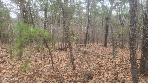 $199,000 | Tbd Union Church Road, Carthage, NC 28327