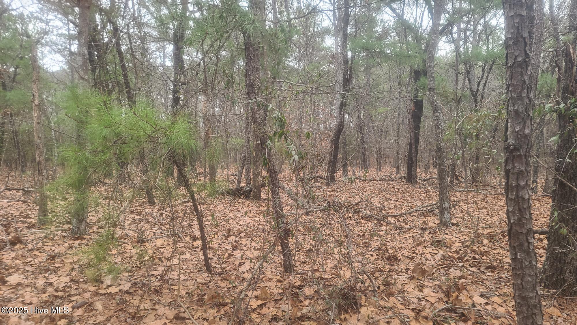 Tbd Union Church Road Carthage, NC 28327 - Photo 1 of 4