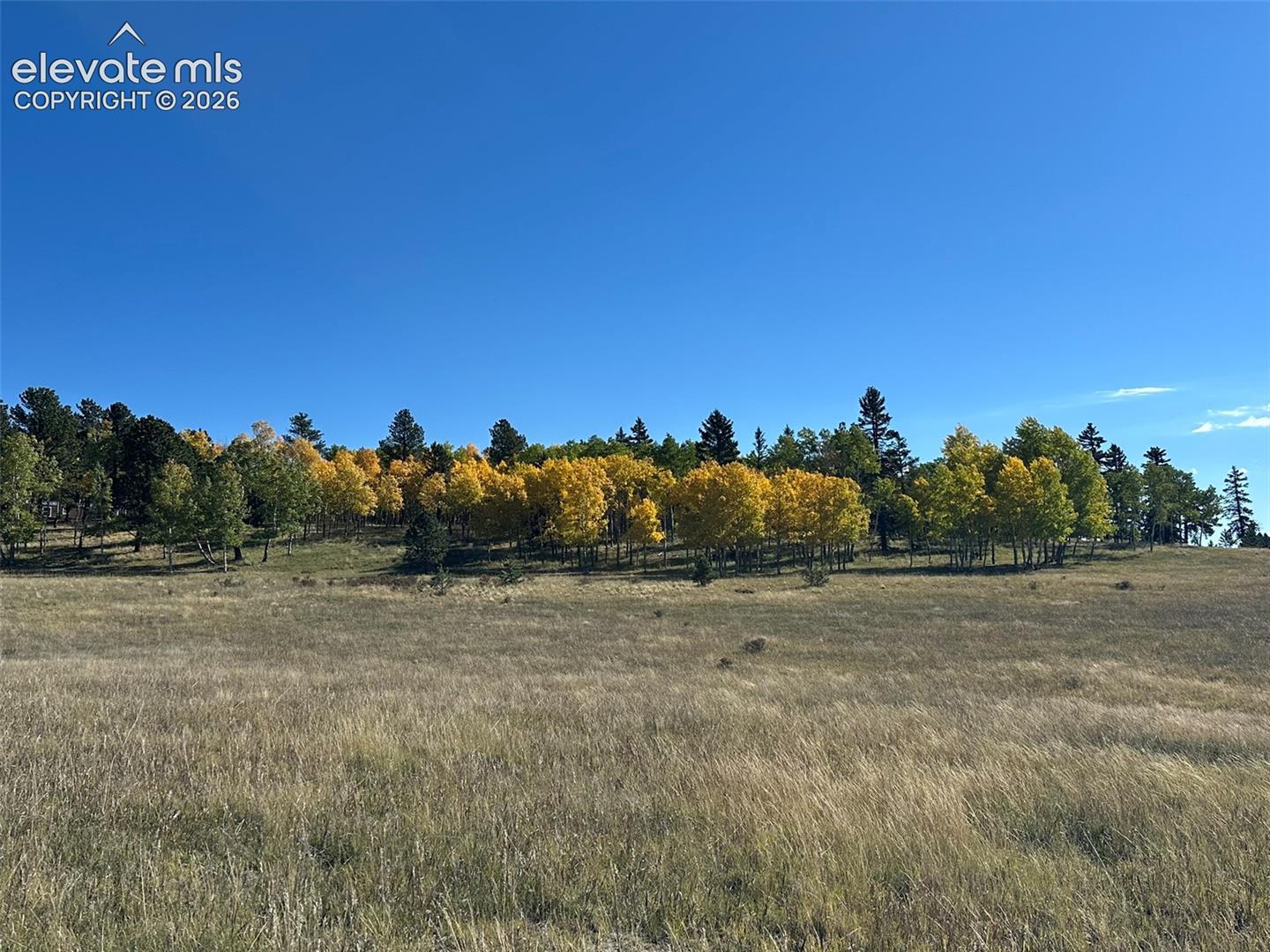 2940 NORTH Rd Divide Divide, CO 80814 - Photo 21 of 27