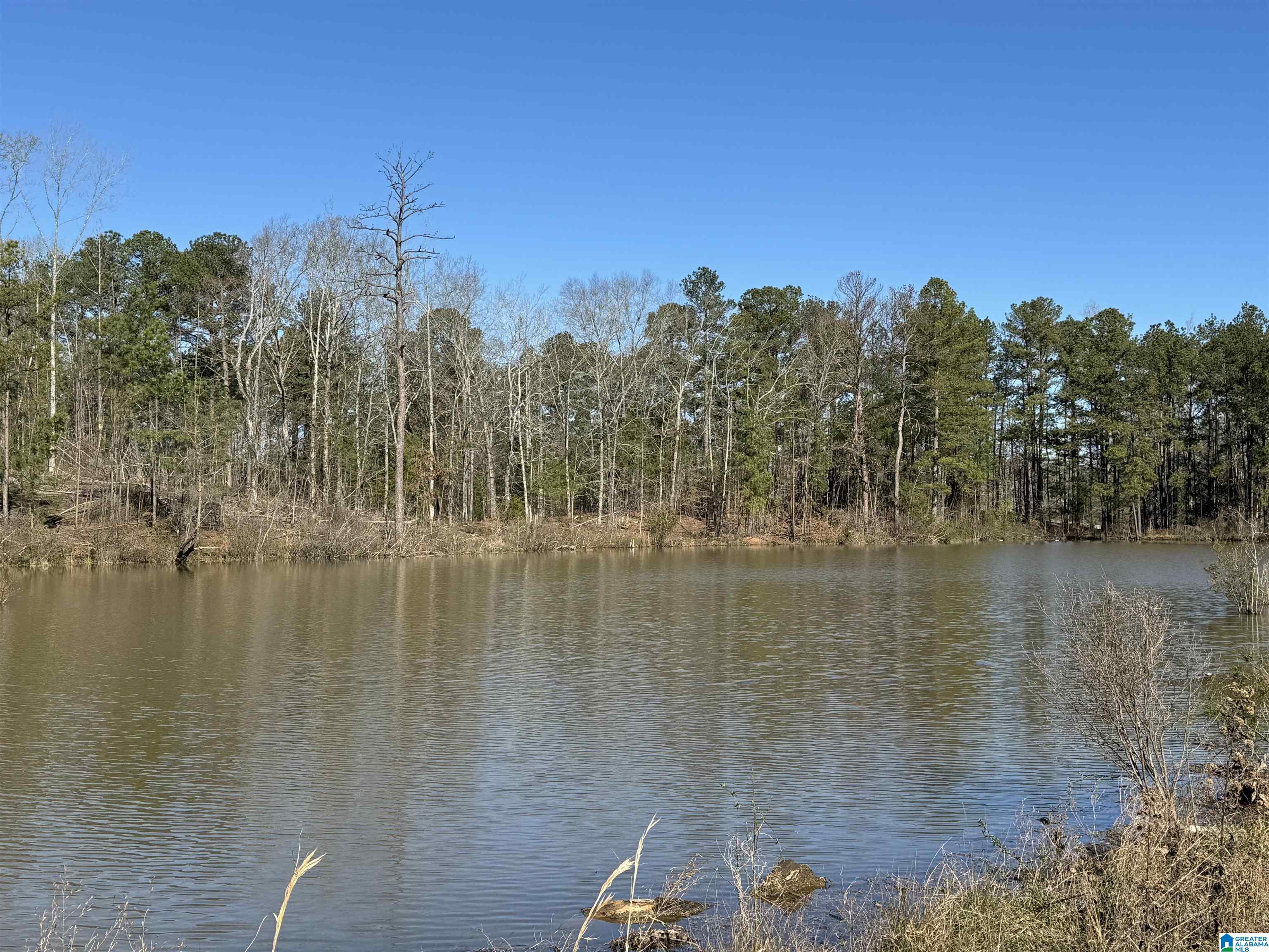 1080 County Road 46, Unit 1 Montevallo, AL 35115 - Photo 1 of 13