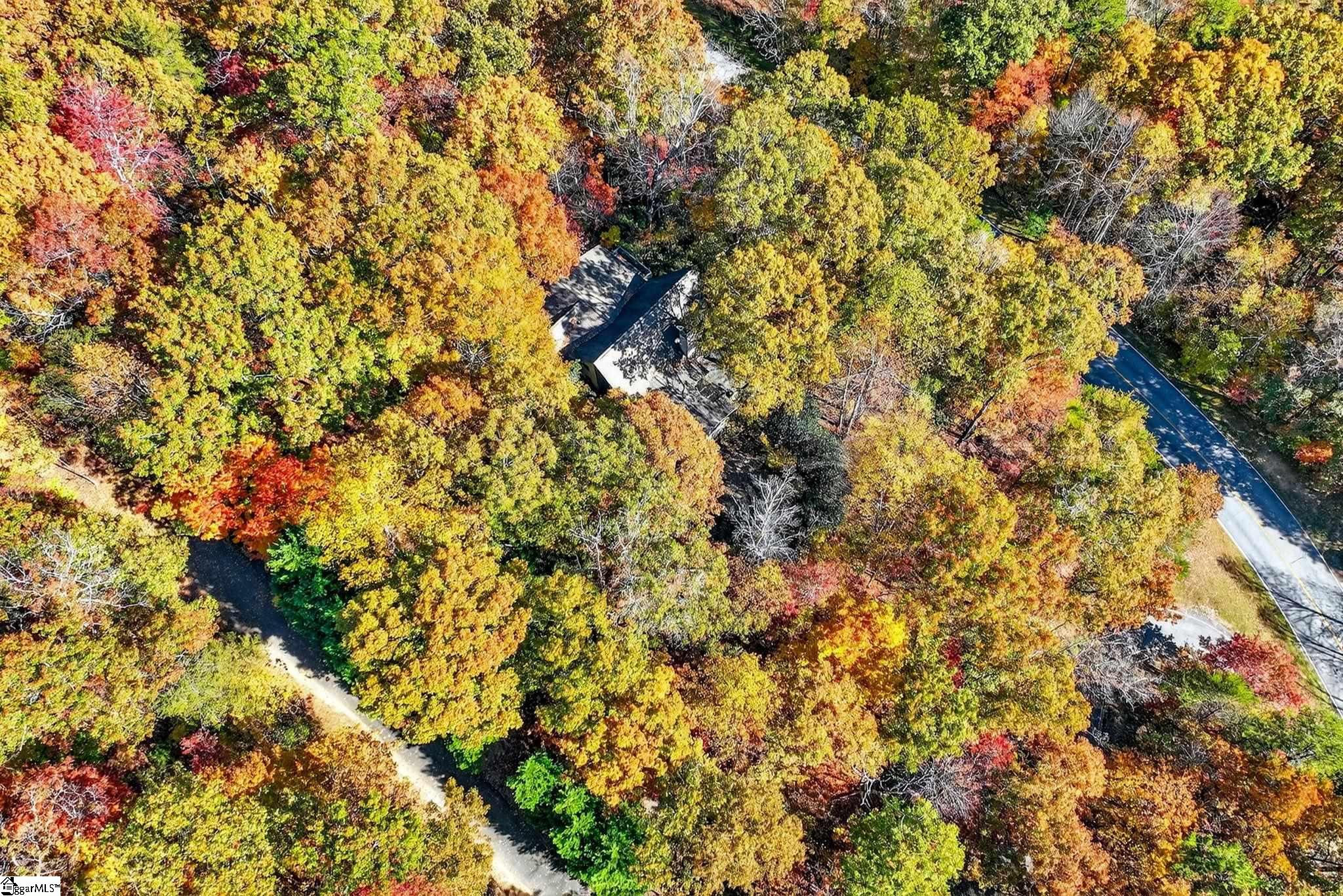 2 Deep Notch Way Travelers Rest, SC 29690 - Photo 46 of 50