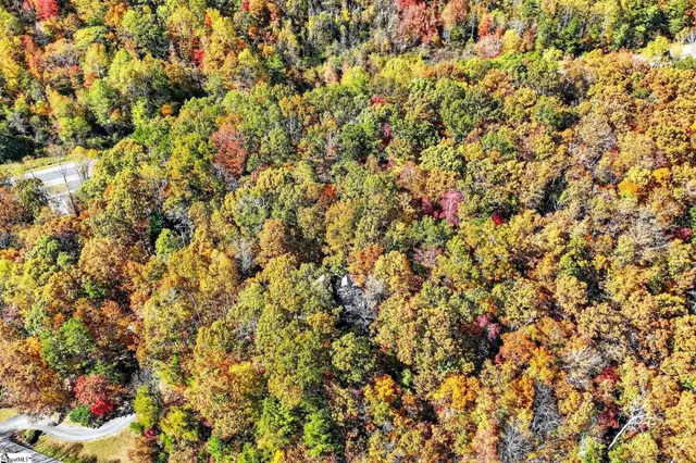 $699,999 | 2 Deep Notch Way, Travelers Rest, SC 29690