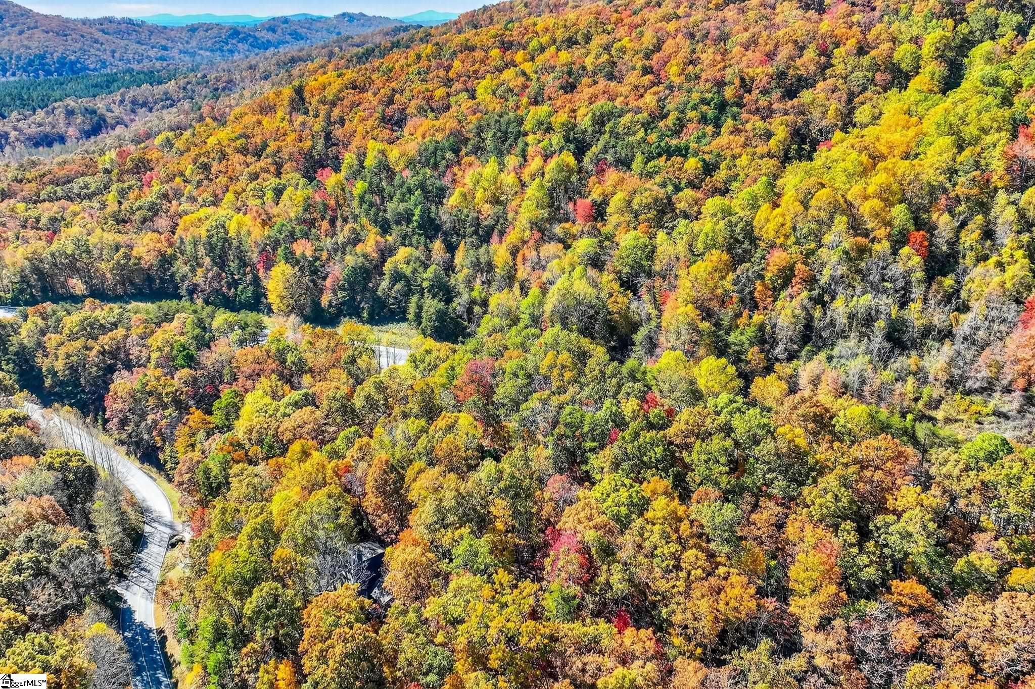 2 Deep Notch Way Travelers Rest, SC 29690 - Photo 48 of 50