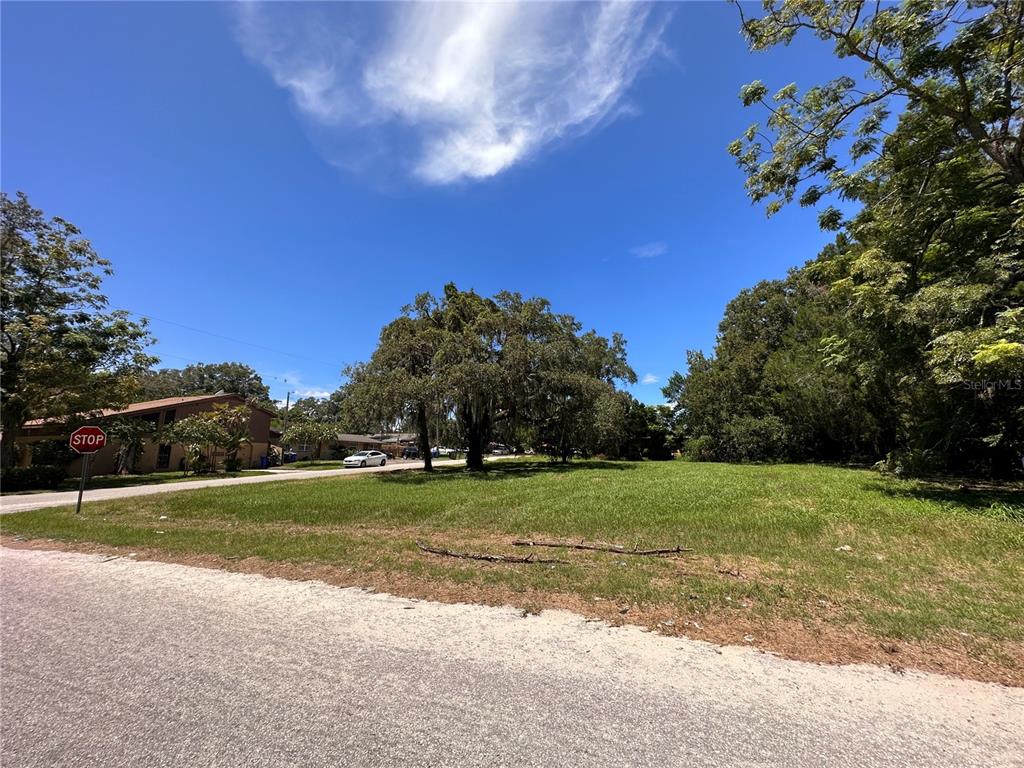 9400 Eastfield Road Thonotosassa, FL 33592 - Photo 1 of 1 a view of a field with a trees in the background