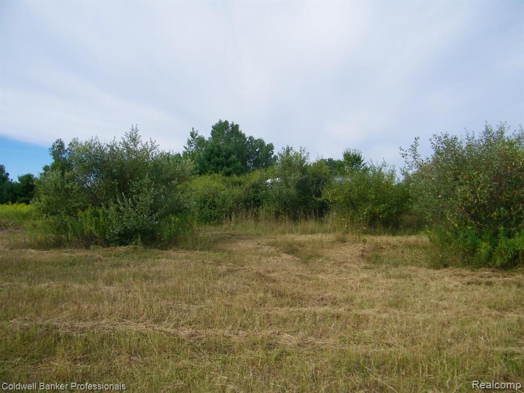Vacant East Bevens Road Caro, MI 48723 - Photo 4 of 12