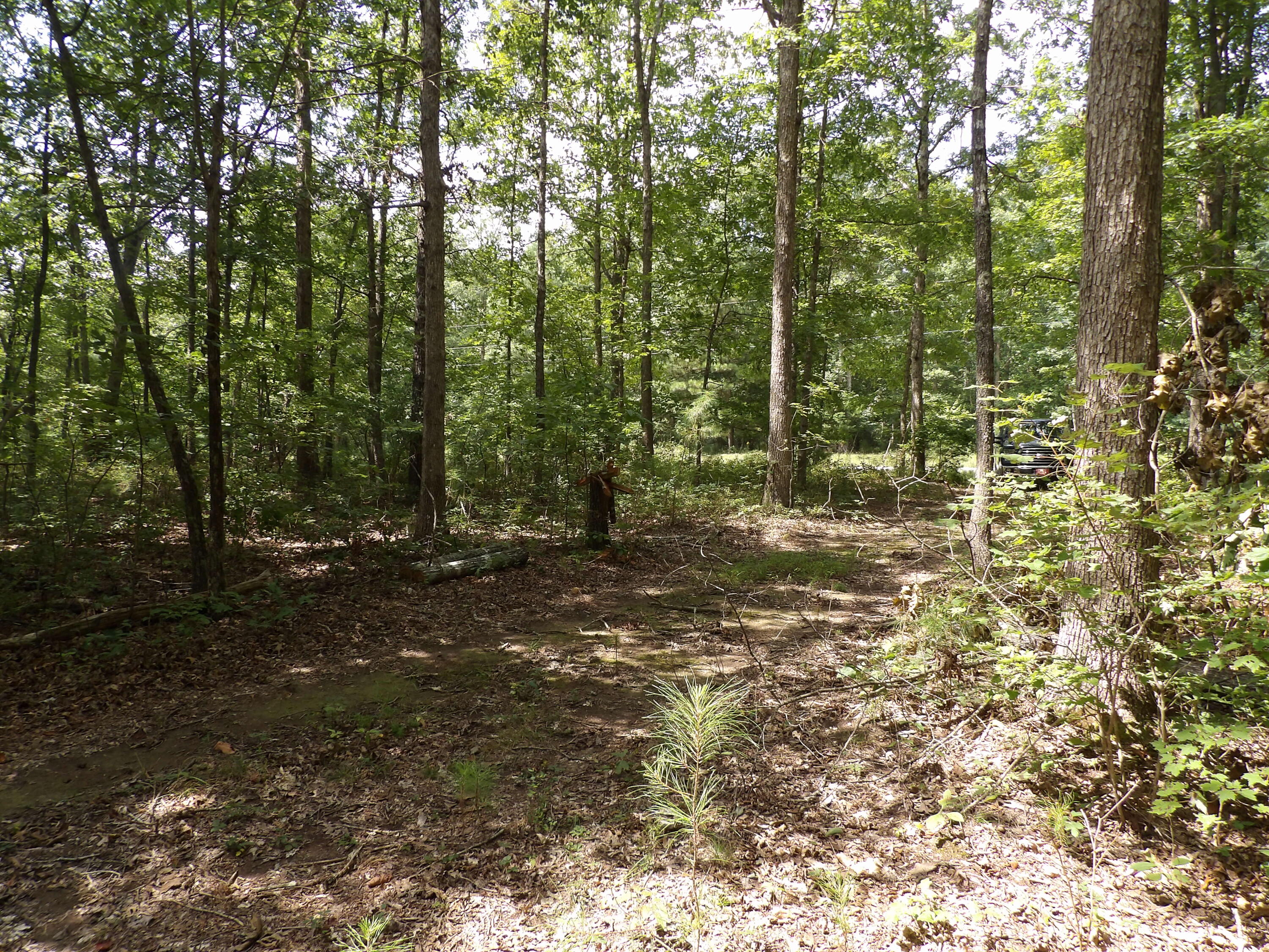 11 Lou Road, Unit 109 Pikeville, TN 37367 - Photo 12 of 36 100_5869