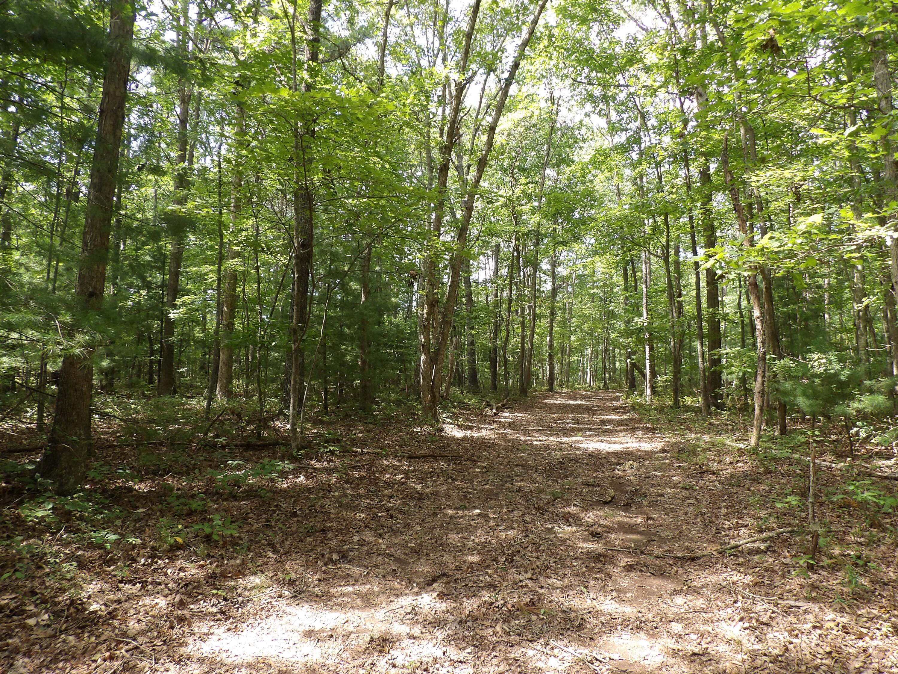 11 Lou Road, Unit 109 Pikeville, TN 37367 - Photo 19 of 36 100_5876