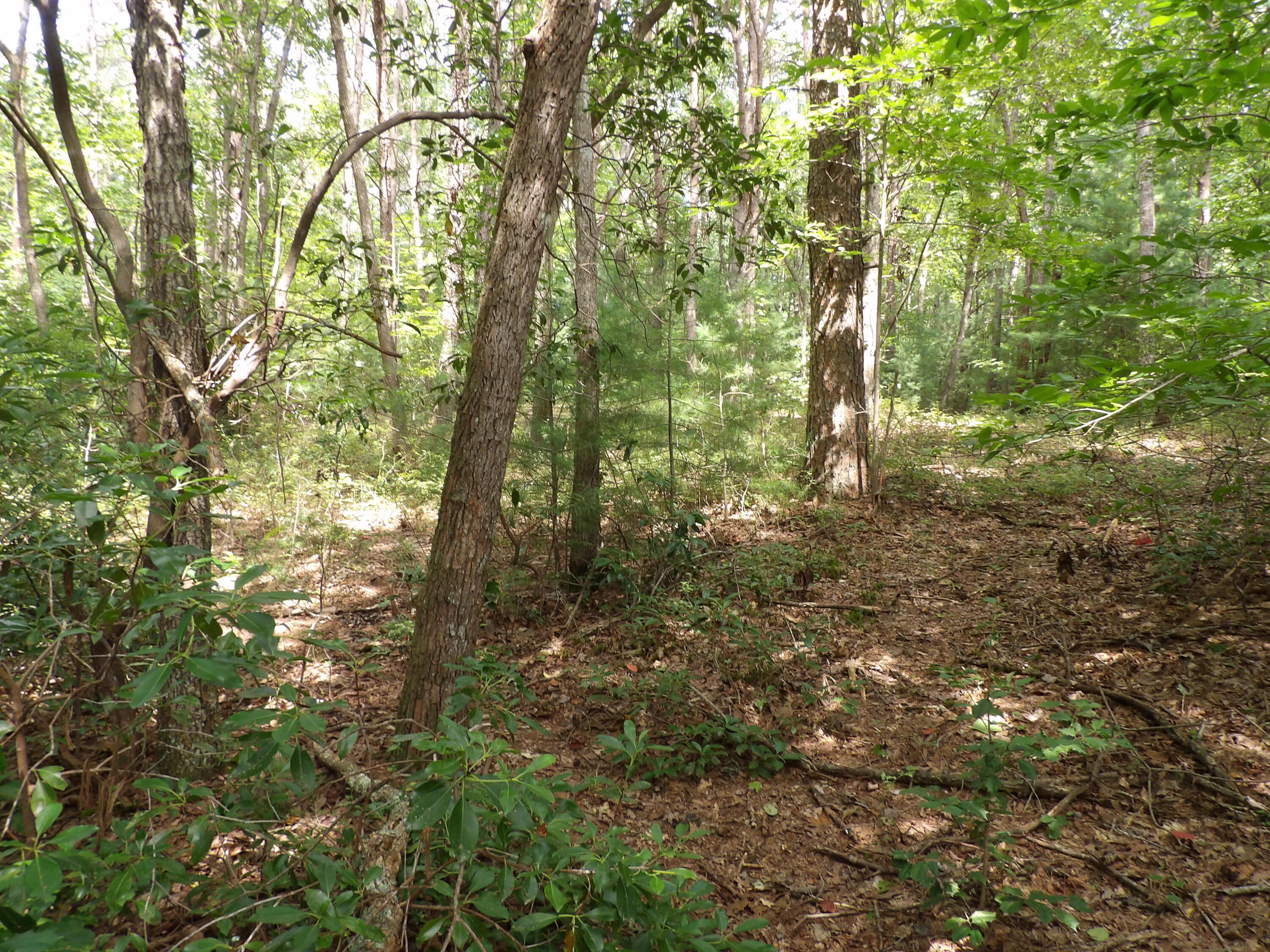 11 Lou Road, Unit 109 Pikeville, TN 37367 - Photo 30 of 36 100_5888
