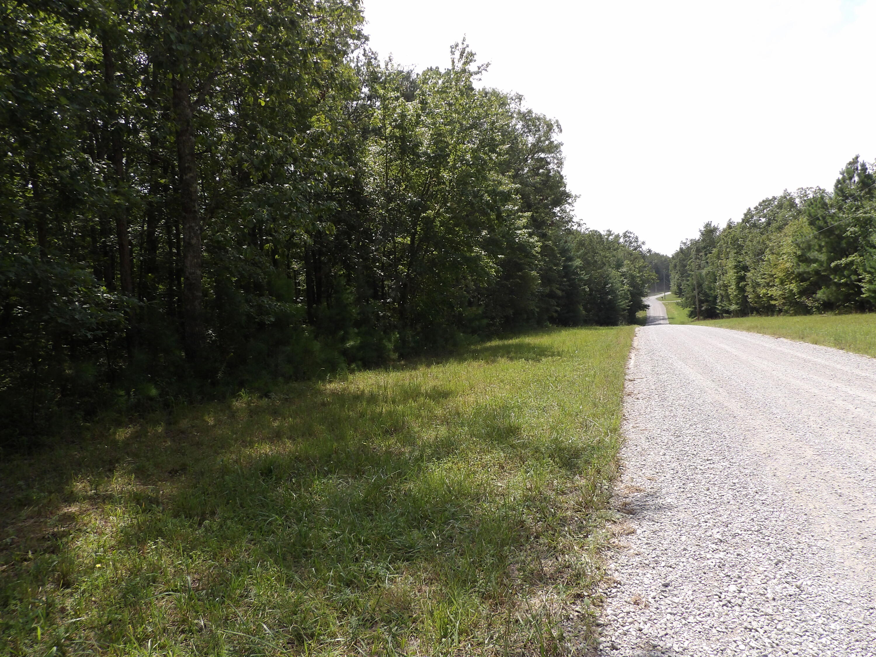 11 Lou Road, Unit 109 Pikeville, TN 37367 - Photo 36 of 36 100_5861