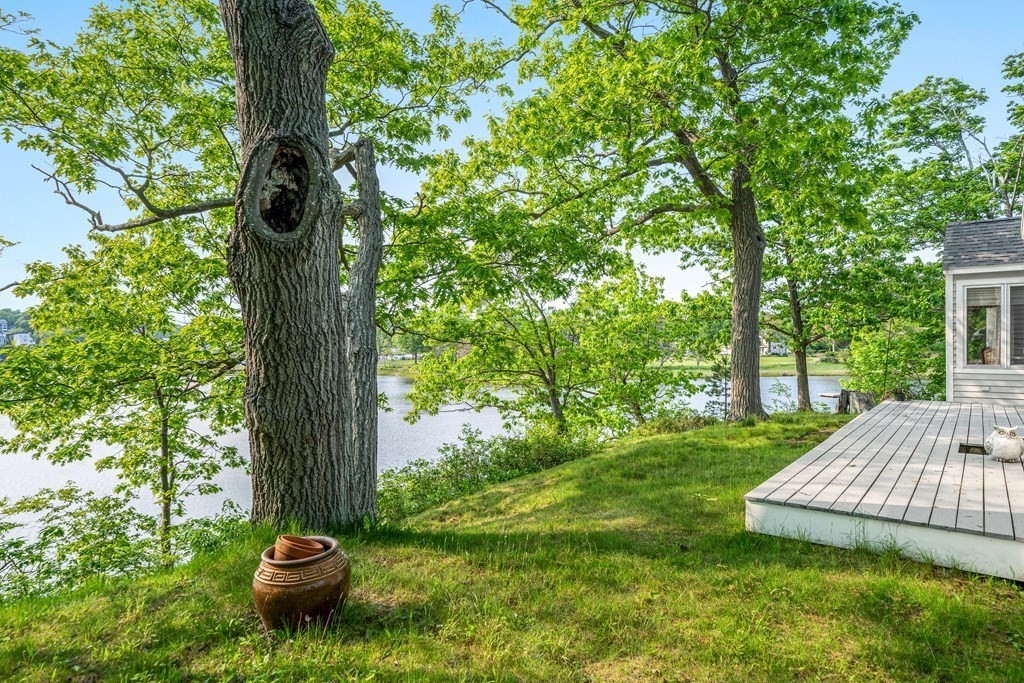 9 Proctor Street Manchester, MA 01944 - Photo 41 of 42 a view of a backyard with table and chairs and a large tree
