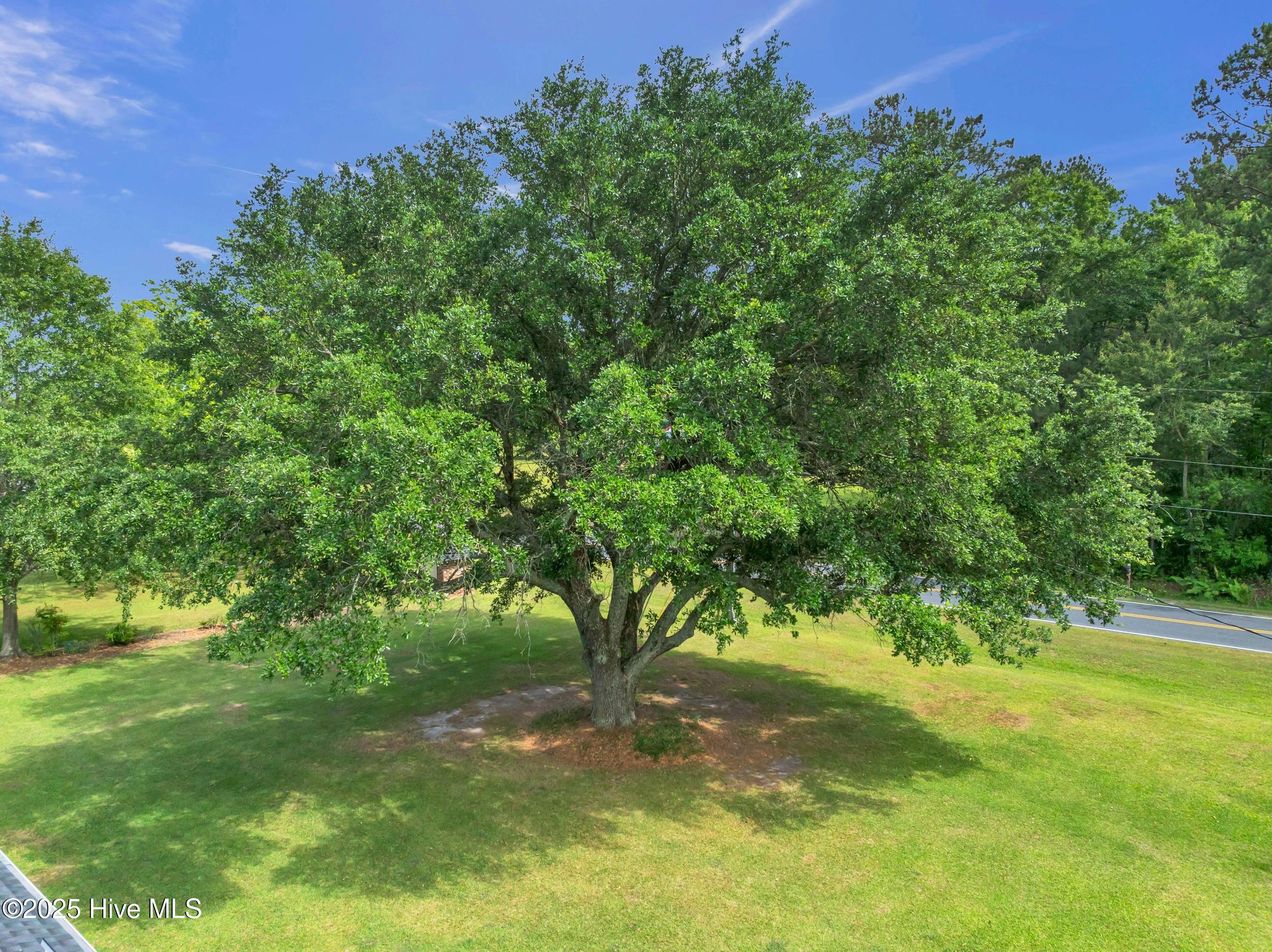 506 Dew Oil Plant Road Delco, NC 28436 - Photo 61 of 61 506dewoilplantrd00061