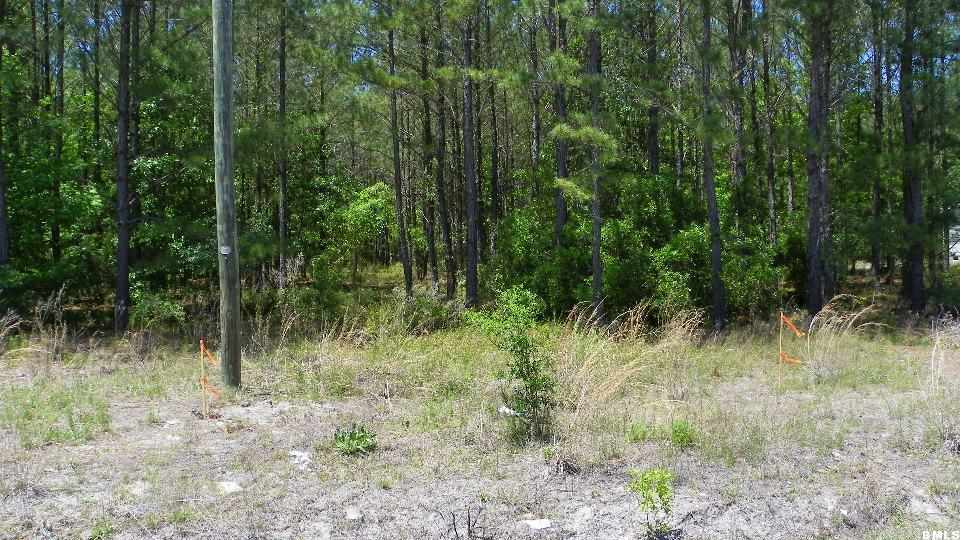 6596 Possum Corner Road Early Branch, SC 29916 - Photo 1 of 2 Primary Photo