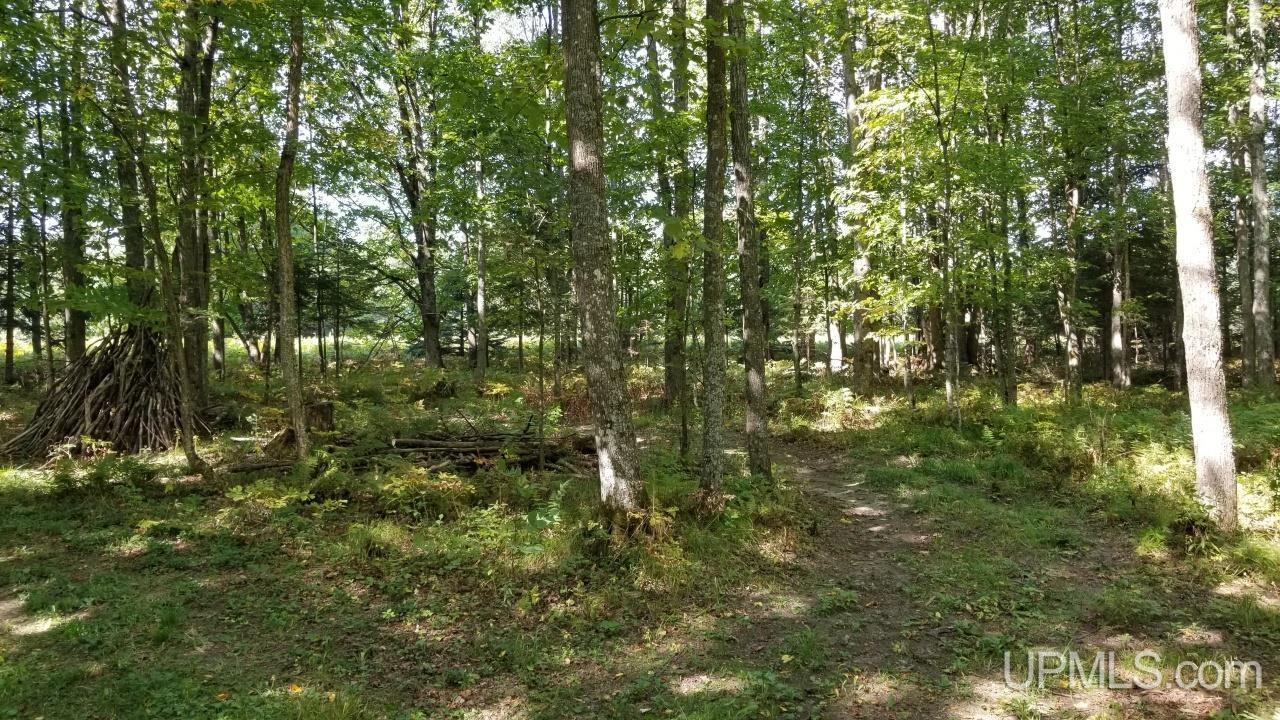 217 Reiman Road Iron River, MI 49935 - Photo 69 of 76