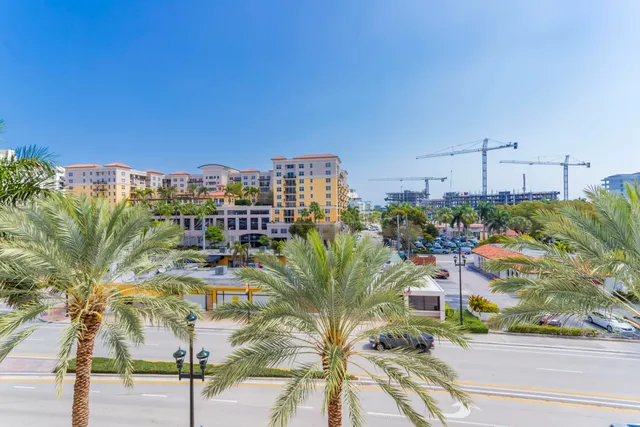 a view of a city and tall trees
