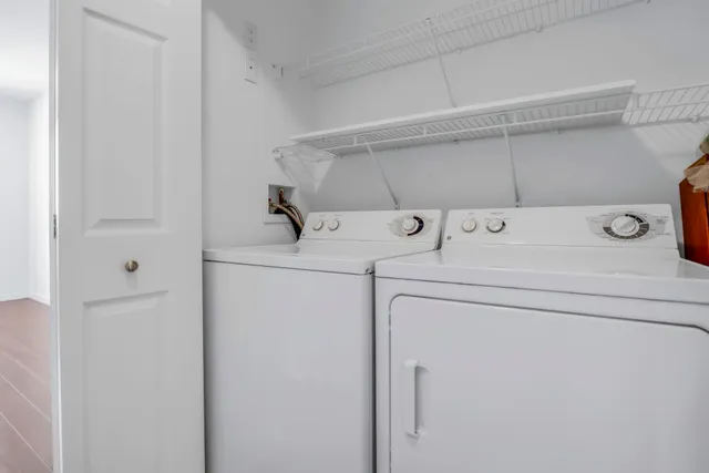 a view of a garden from a window