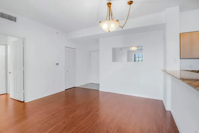 a view of a palm plant from a garden