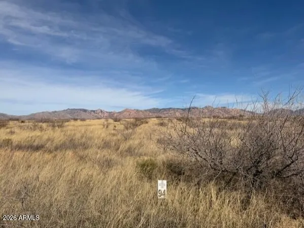 a view of lot of trees