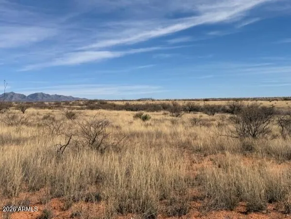 a view of a yard covered with snow in the background