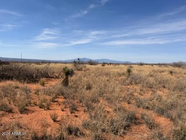 a view of yard and mountain
