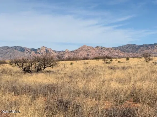 a view of lake and mountain