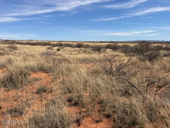 a view of yard with ocean view