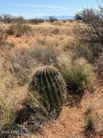 a view of a dry yard with wooden fence