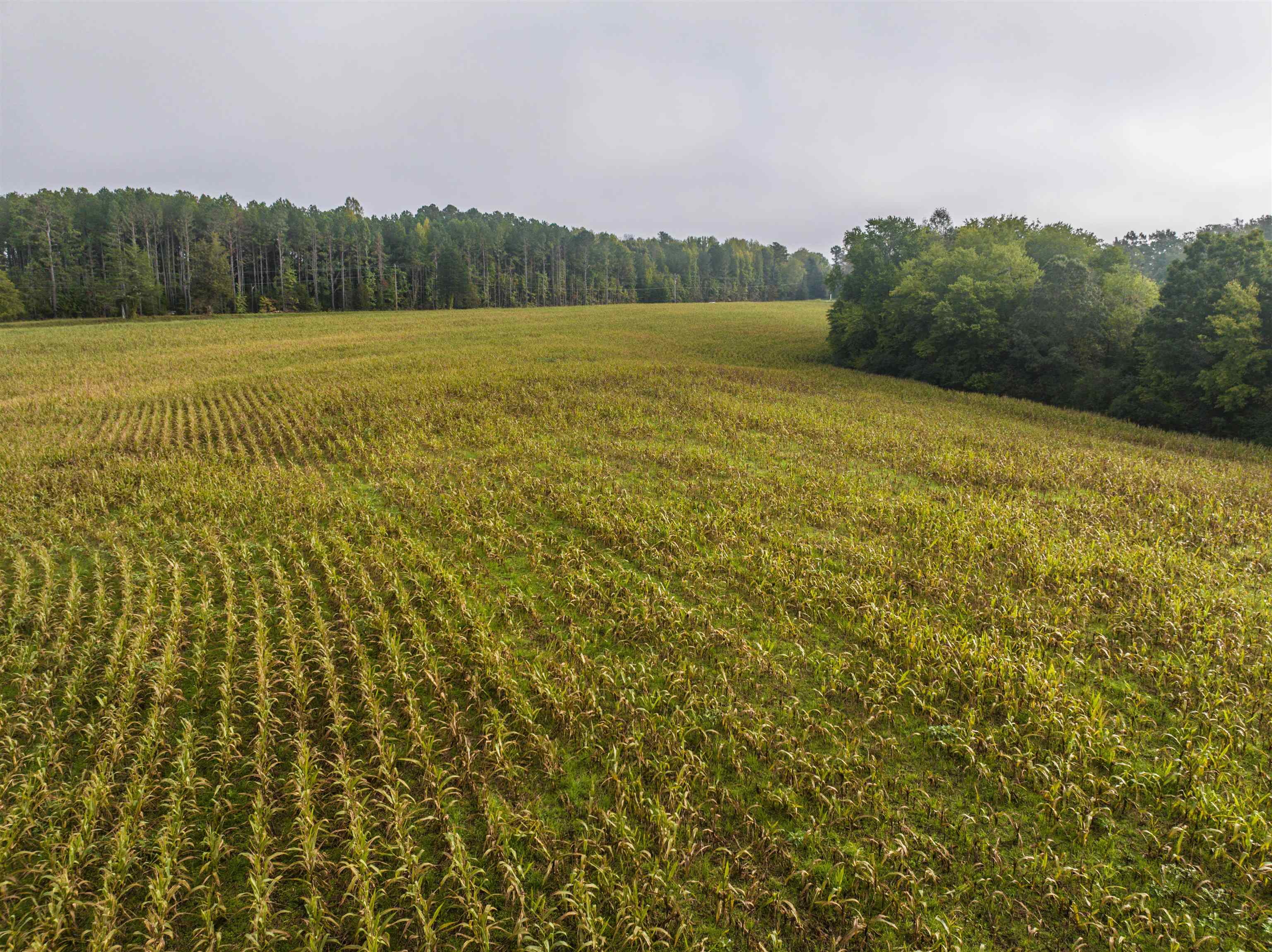 Tbd Courthouse Road Palmyra, VA 22963 - Photo 11 of 40 a view of an ocean from a balcony