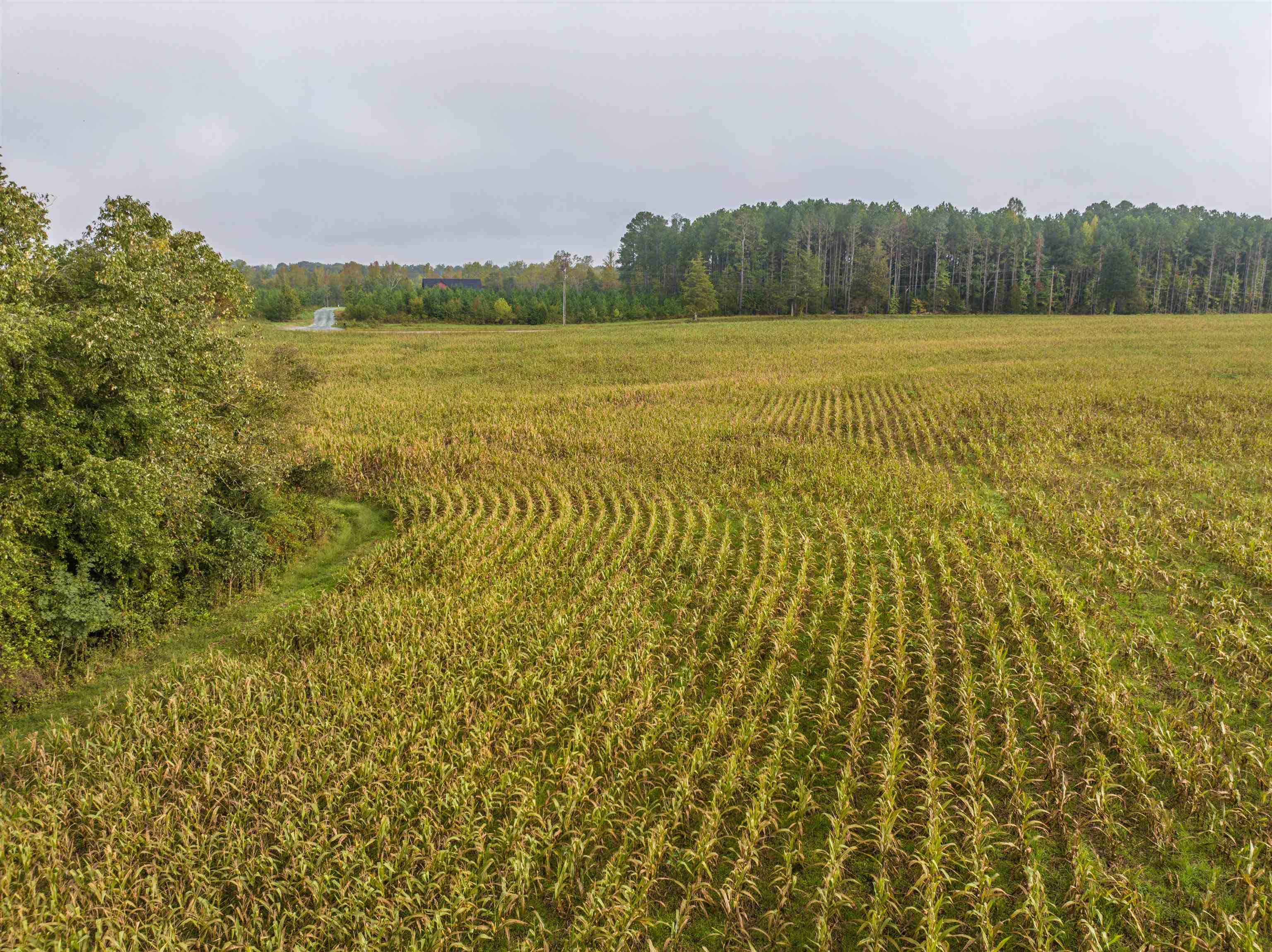 Tbd Courthouse Road Palmyra, VA 22963 - Photo 12 of 40 a view of an ocean and beach