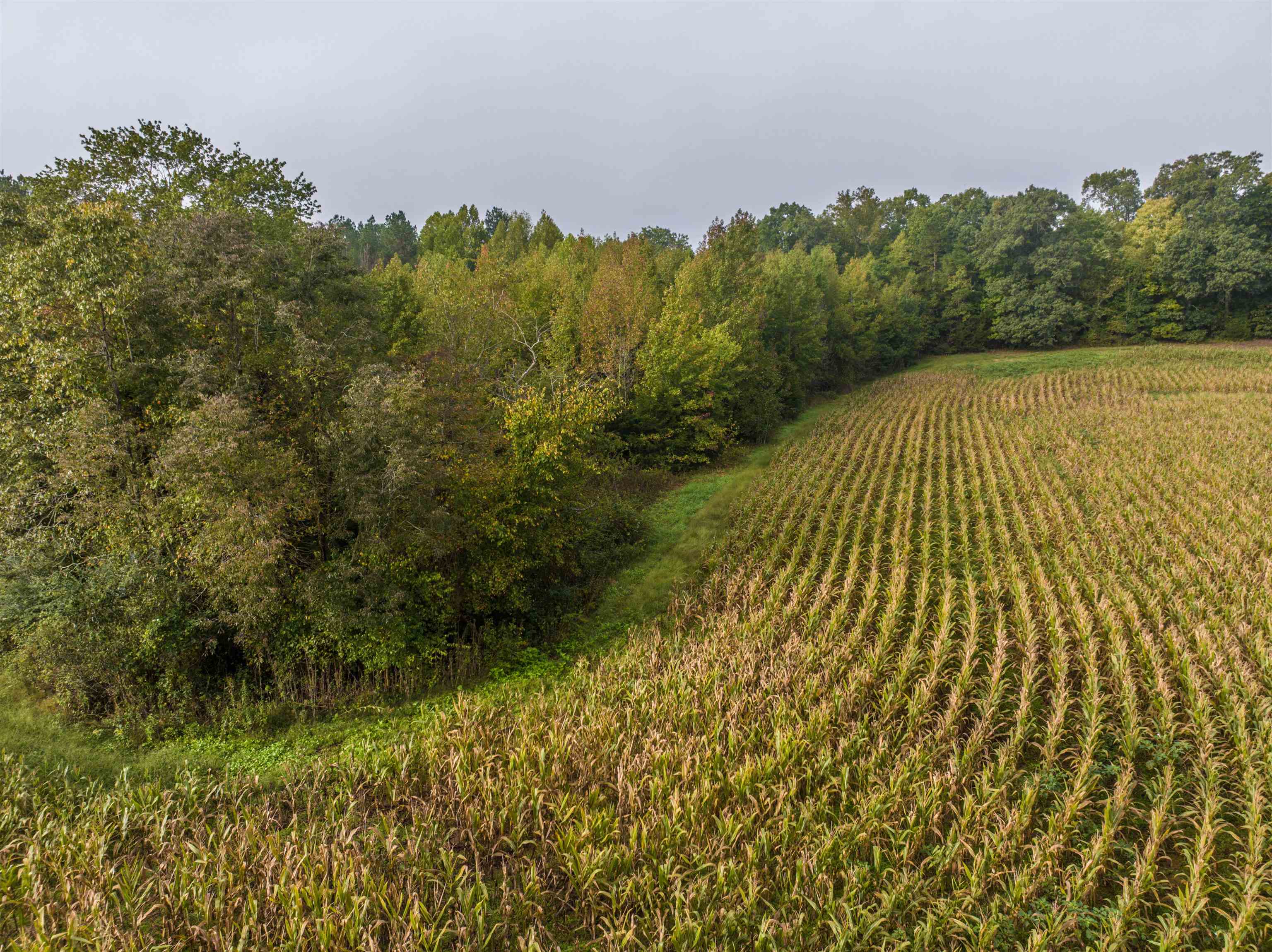 Tbd Courthouse Road Palmyra, VA 22963 - Photo 13 of 40