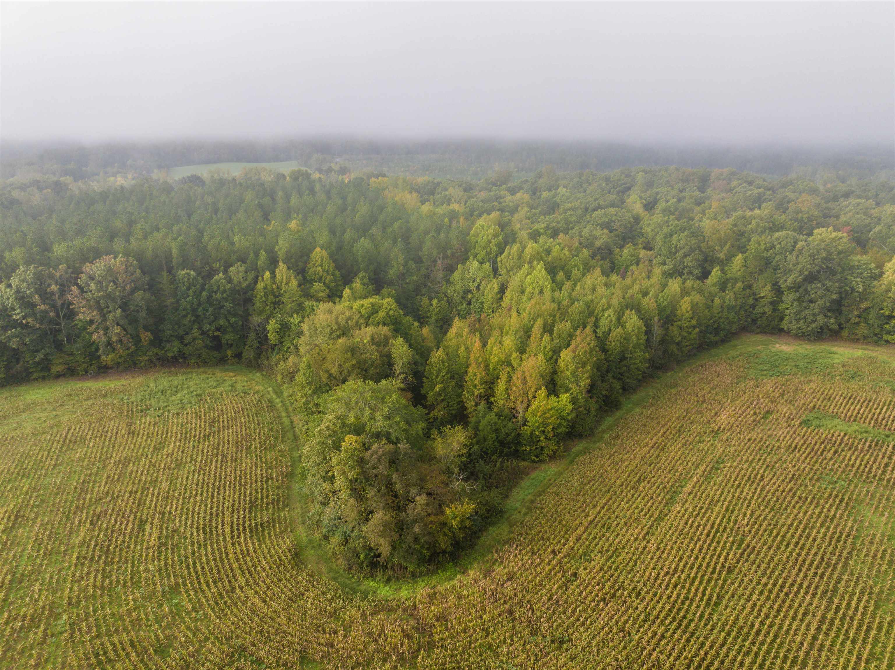 Tbd Courthouse Road Palmyra, VA 22963 - Photo 15 of 40 a view of a field with an ocean view