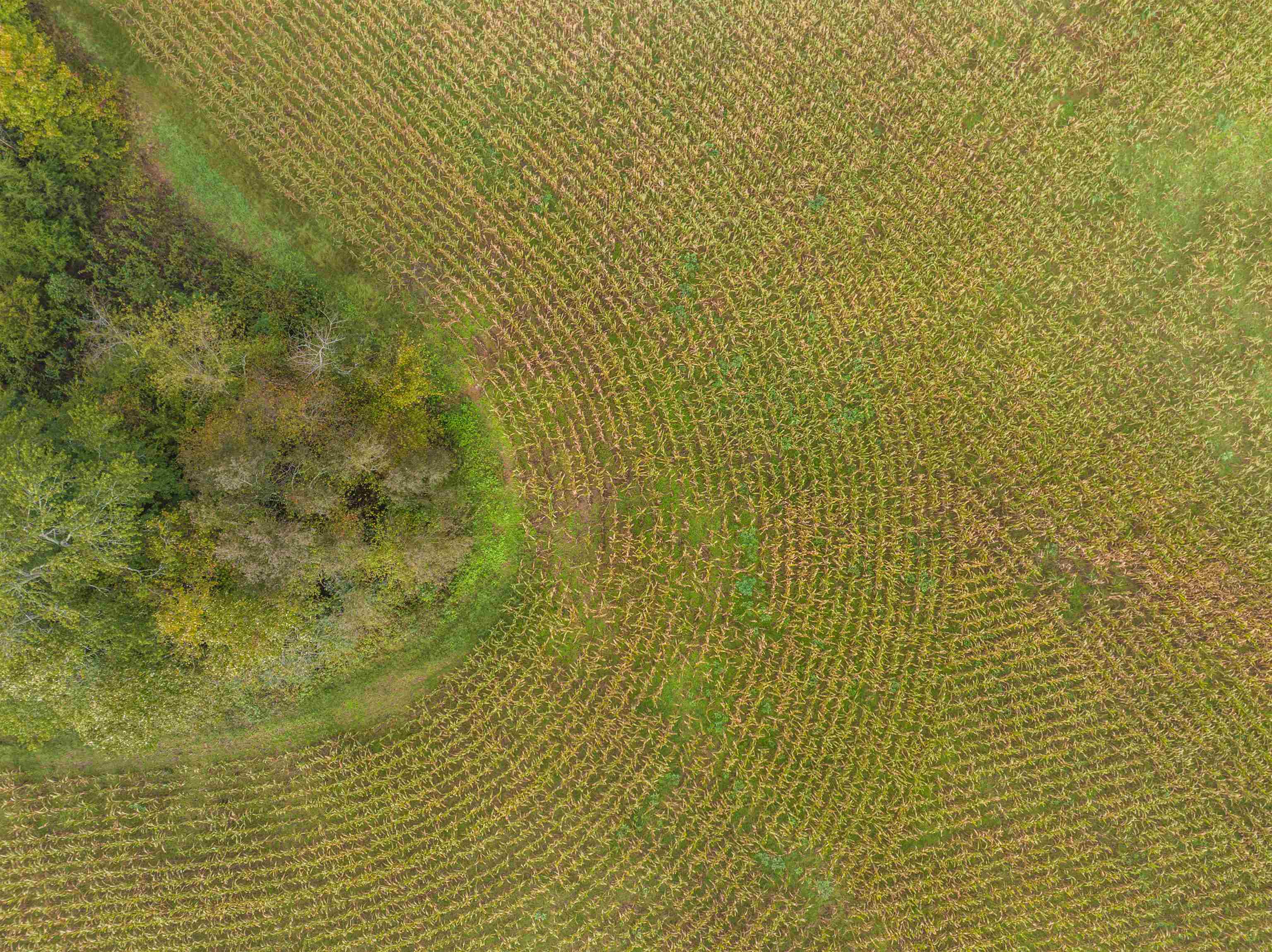 Tbd Courthouse Road Palmyra, VA 22963 - Photo 16 of 40 a bathroom with a shower