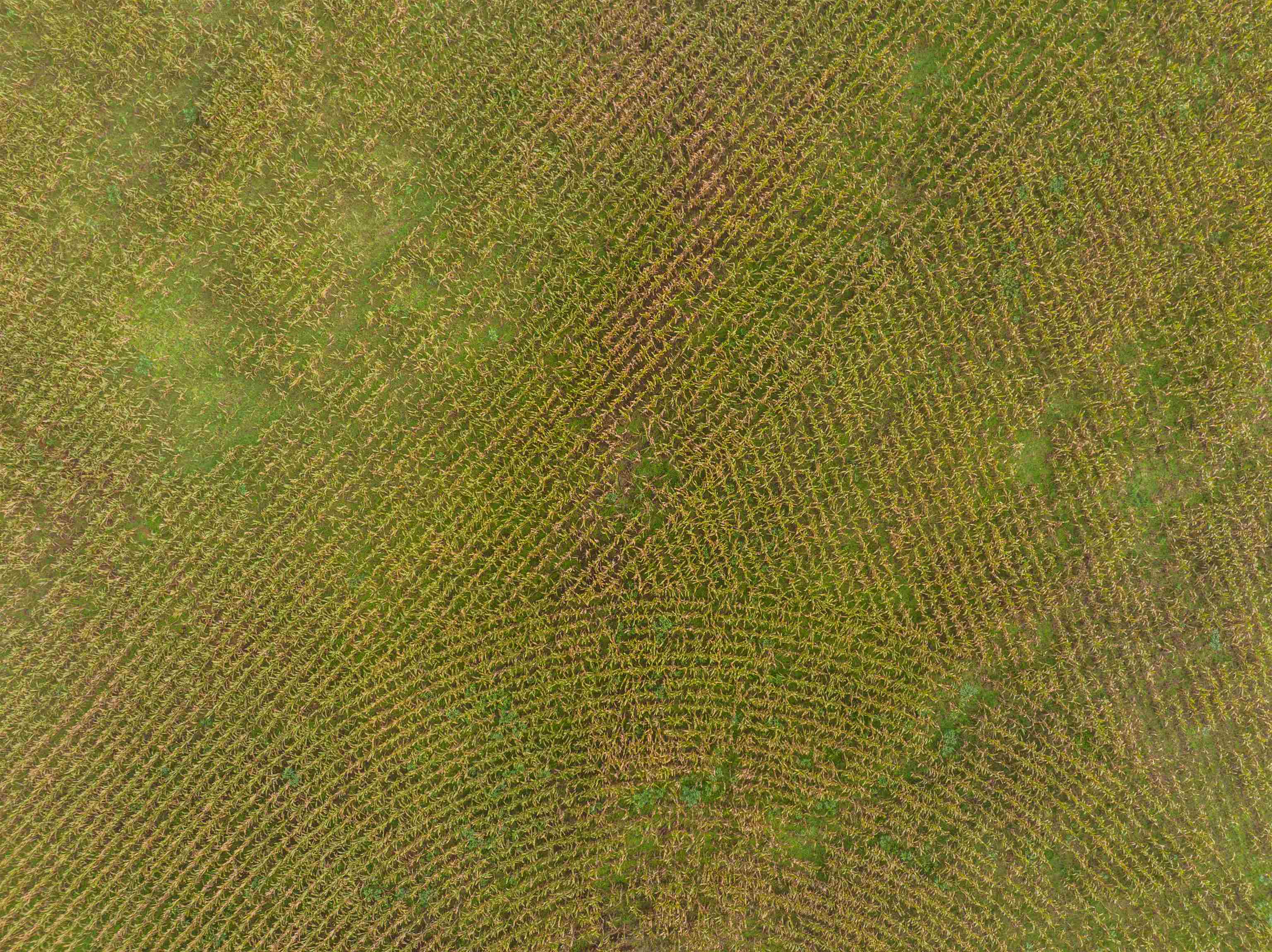 Tbd Courthouse Road Palmyra, VA 22963 - Photo 17 of 40 a bathroom with a shower