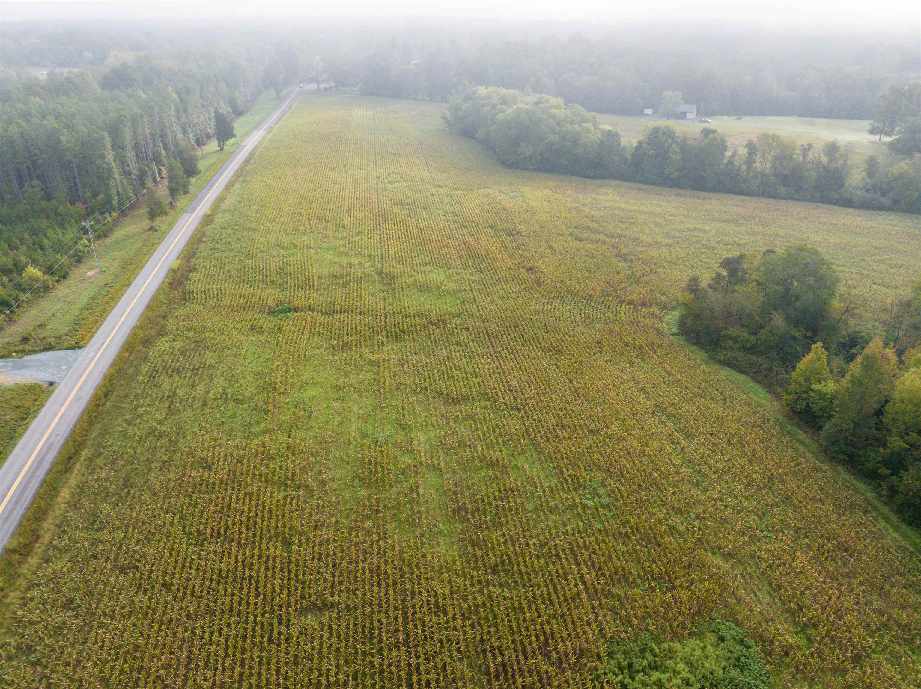 Tbd Courthouse Road Palmyra, VA 22963 - Photo 18 of 40 a view of a lake view