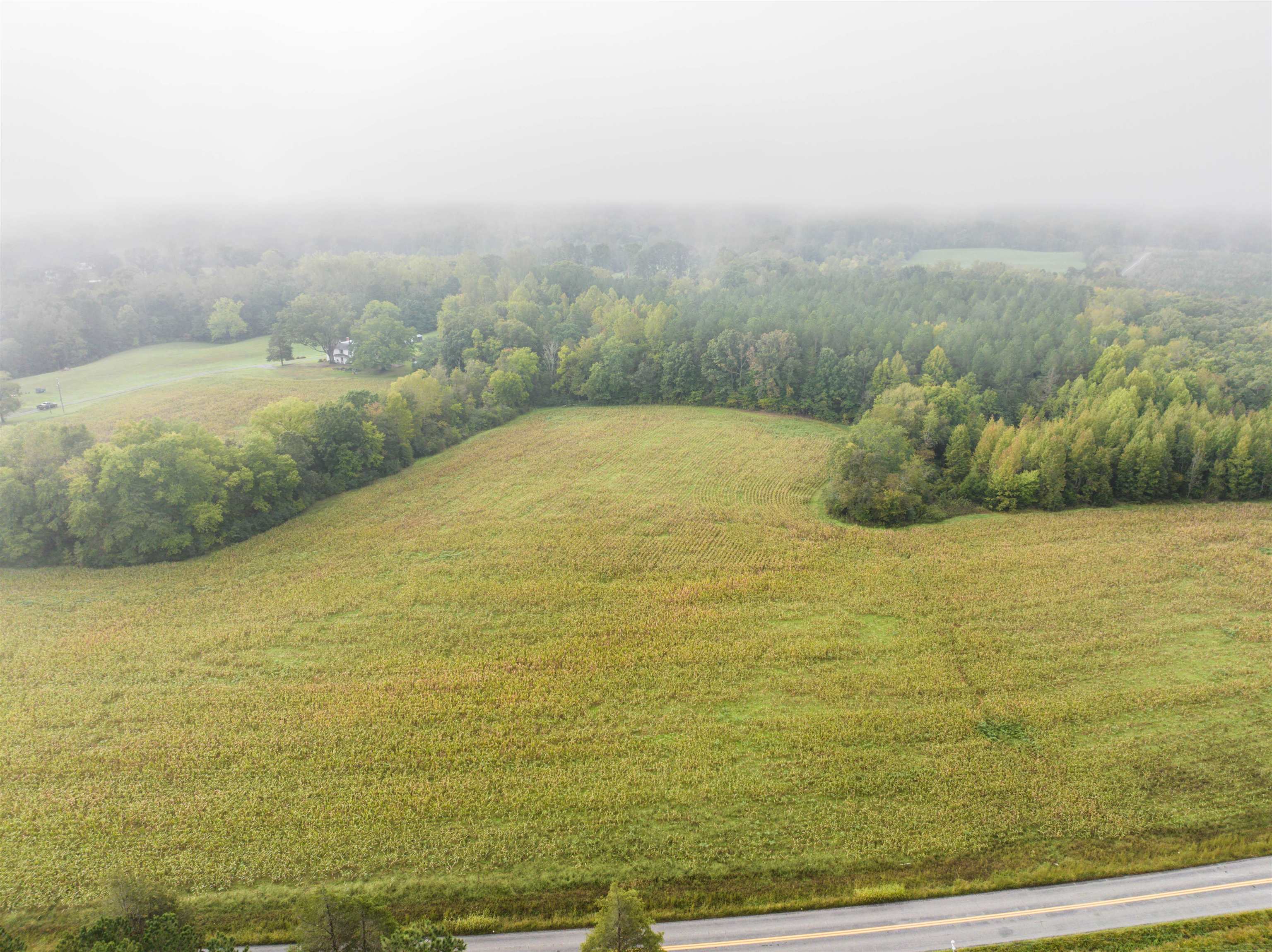 Tbd Courthouse Road Palmyra, VA 22963 - Photo 19 of 40 a view of ocean view