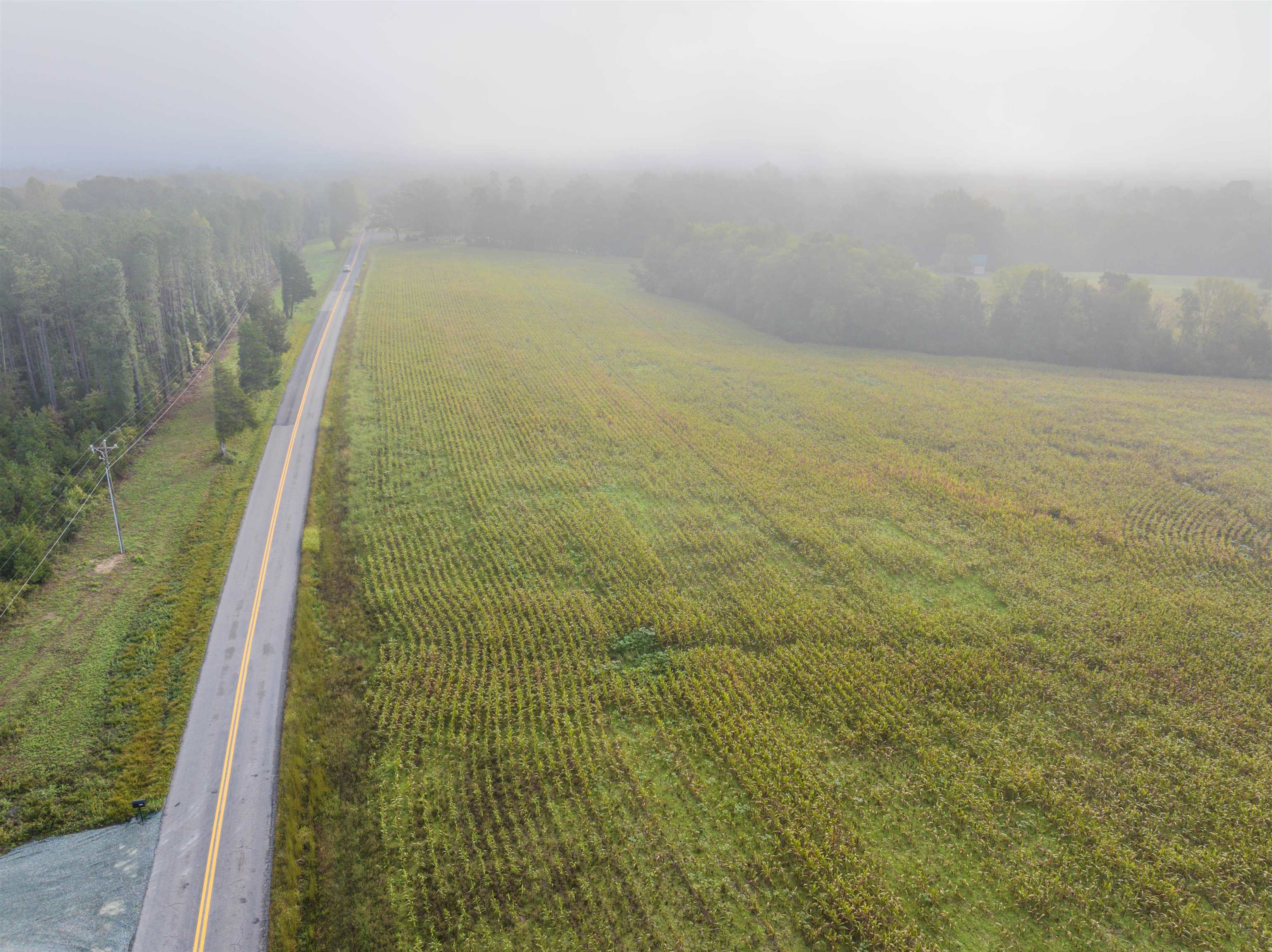 Tbd Courthouse Road Palmyra, VA 22963 - Photo 2 of 40 a view of a lake view
