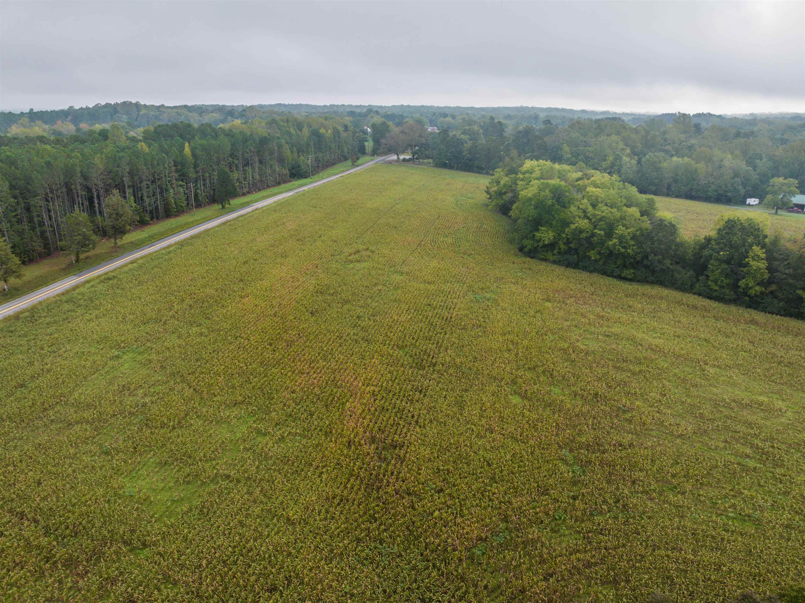 Tbd Courthouse Road Palmyra, VA 22963 - Photo 23 of 40 a view of a field with an outdoor space
