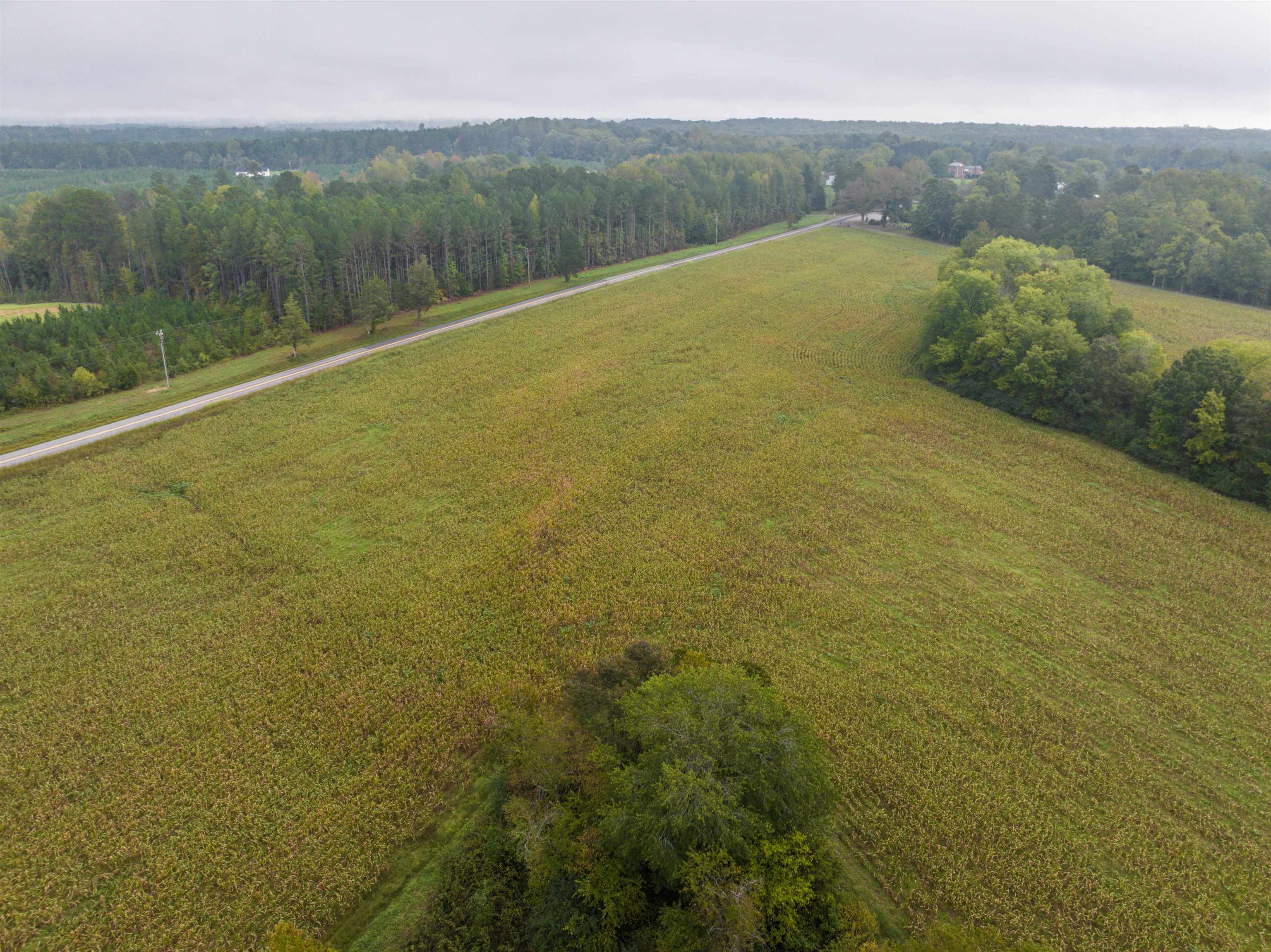 Tbd Courthouse Road Palmyra, VA 22963 - Photo 24 of 40 a view of a lake with a mountain