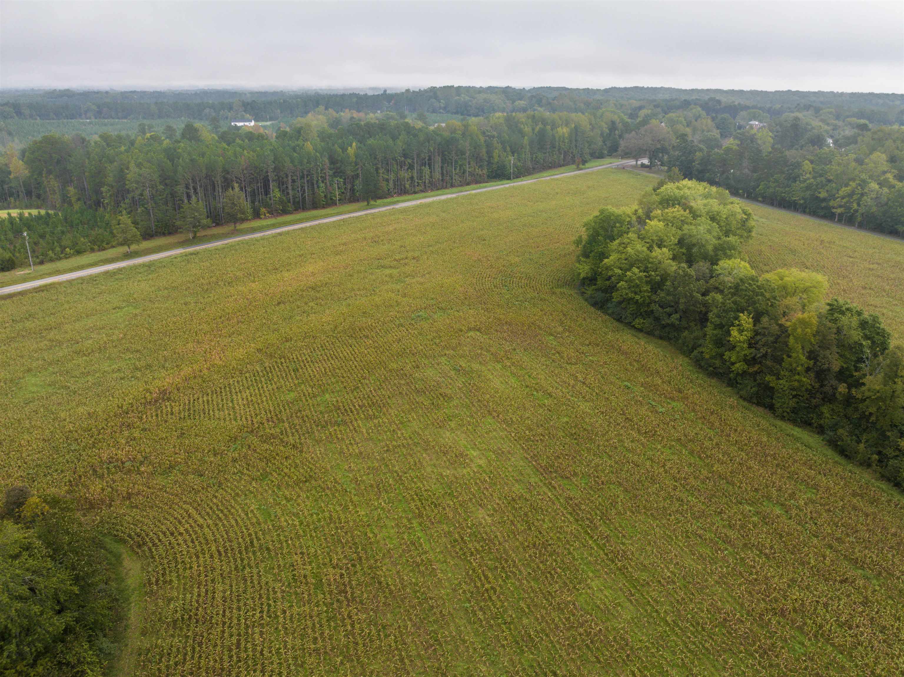 Tbd Courthouse Road Palmyra, VA 22963 - Photo 26 of 40 a view of a lake with a mountain