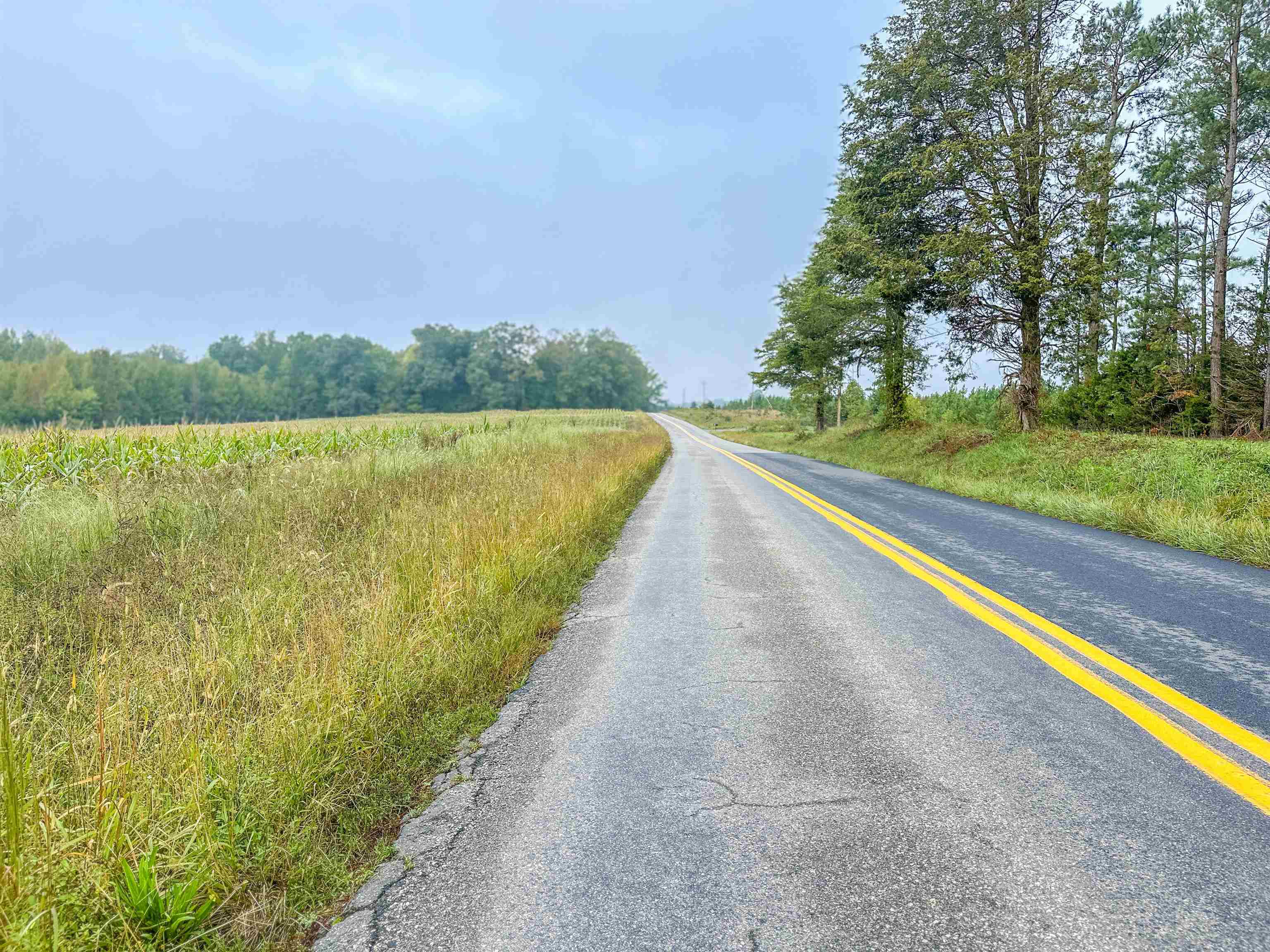 Tbd Courthouse Road Palmyra, VA 22963 - Photo 27 of 40 a view of a lake with a city view