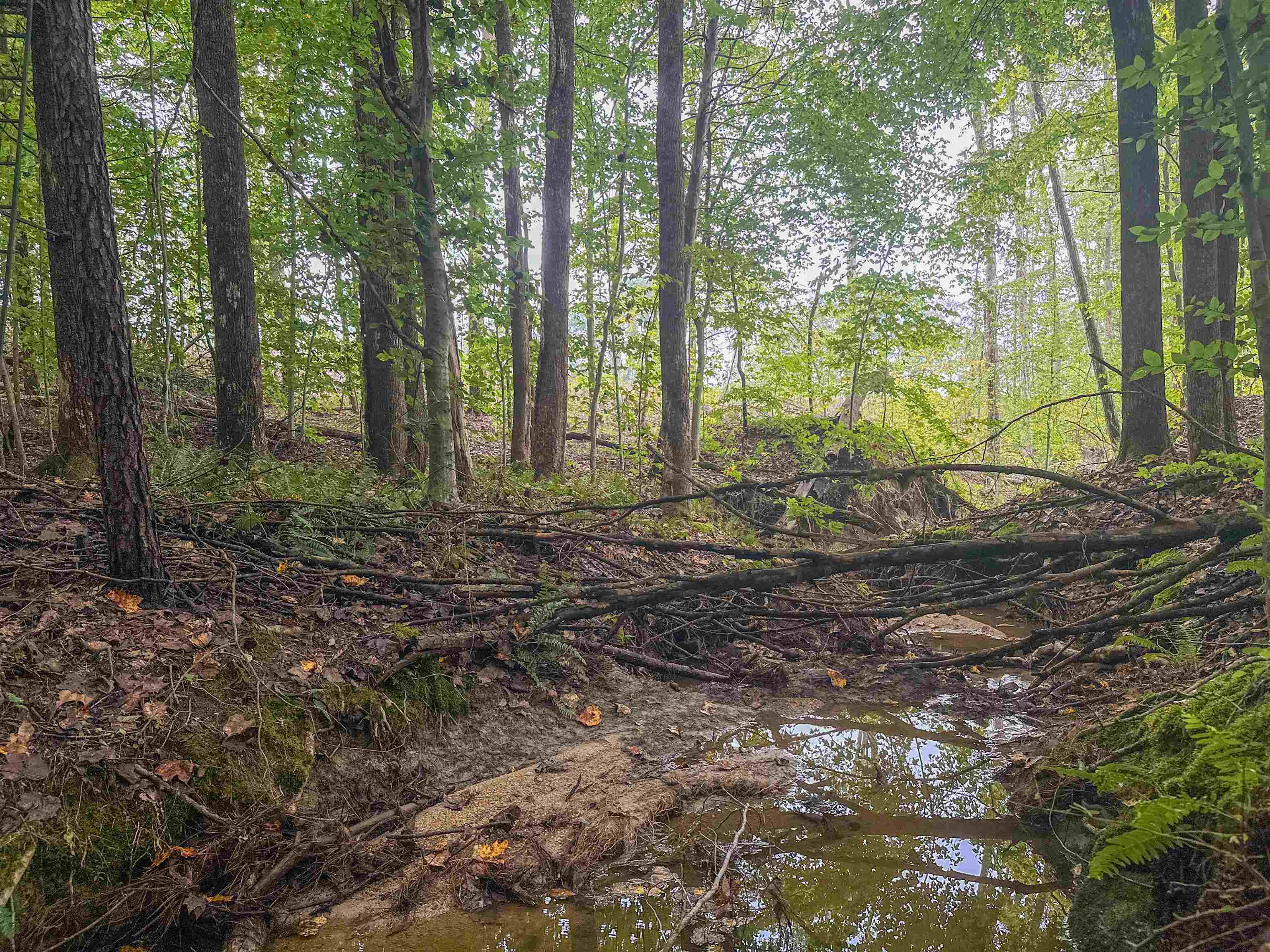 Tbd Courthouse Road Palmyra, VA 22963 - Photo 28 of 40 a view of a house with lots of trees