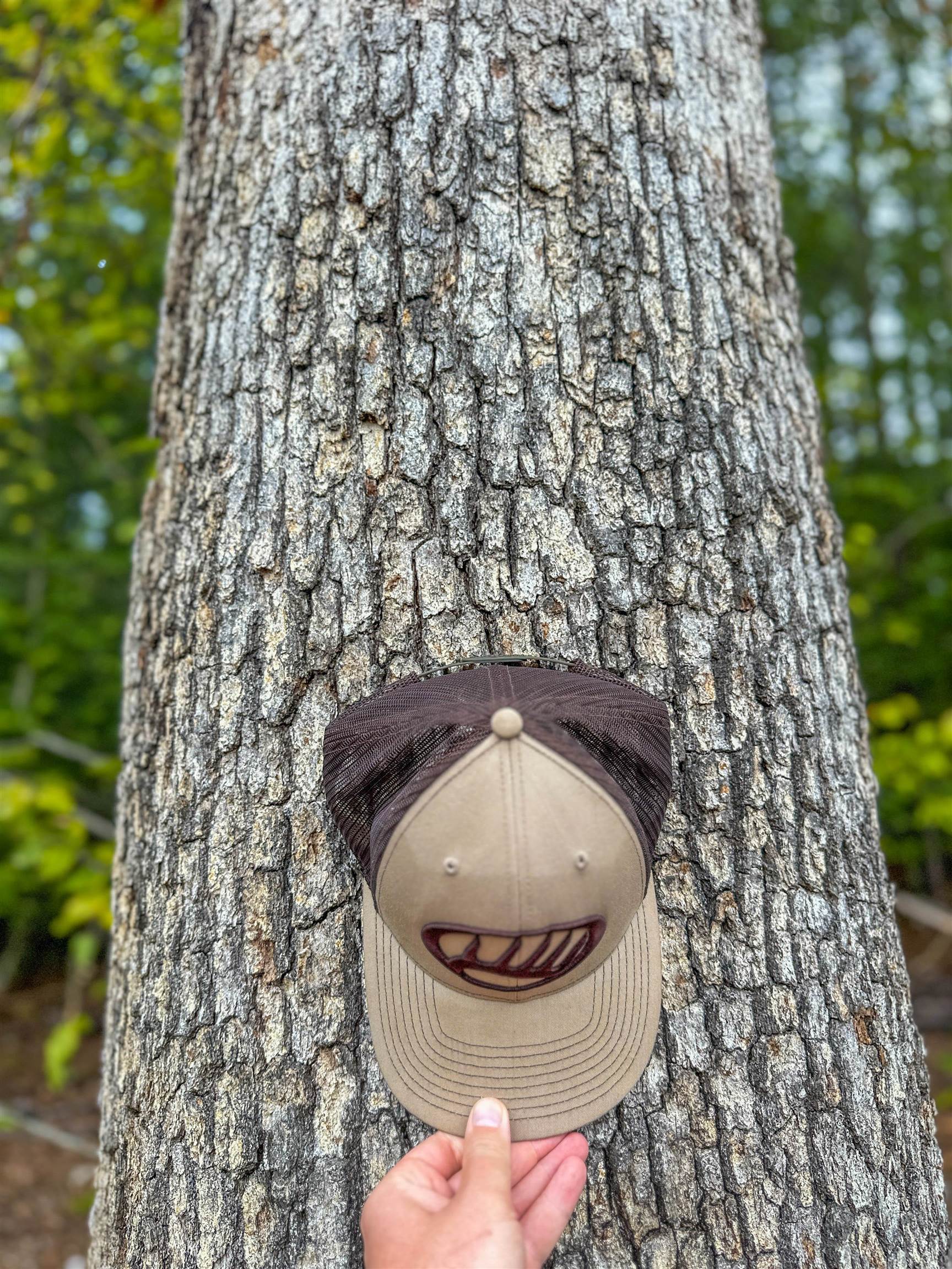 Tbd Courthouse Road Palmyra, VA 22963 - Photo 29 of 40 a bathroom with a toilet and a sink