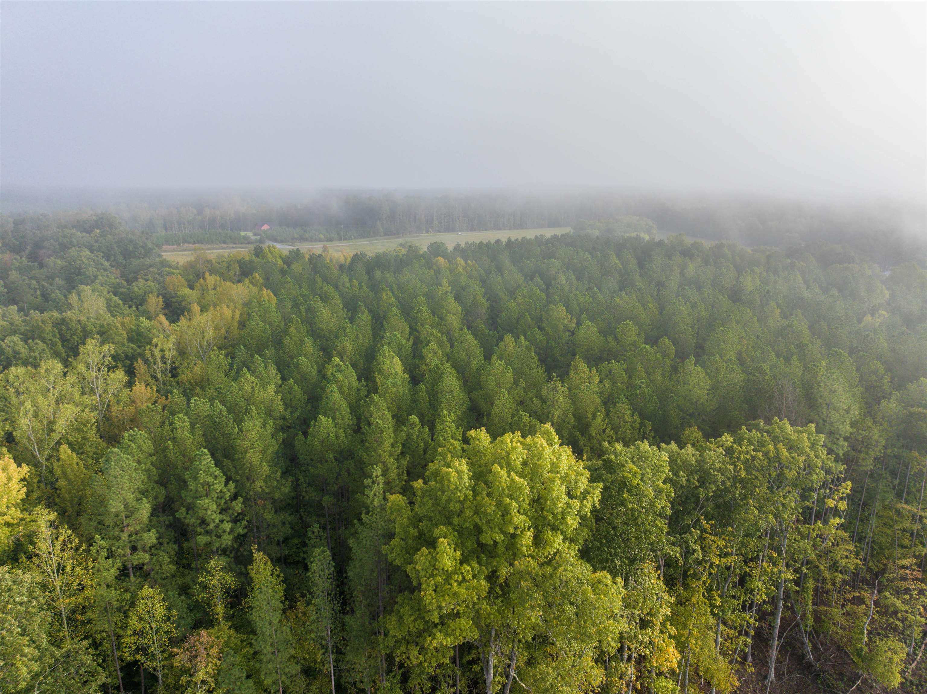 Tbd Courthouse Road Palmyra, VA 22963 - Photo 3 of 40 an aerial view of houses covered in trees