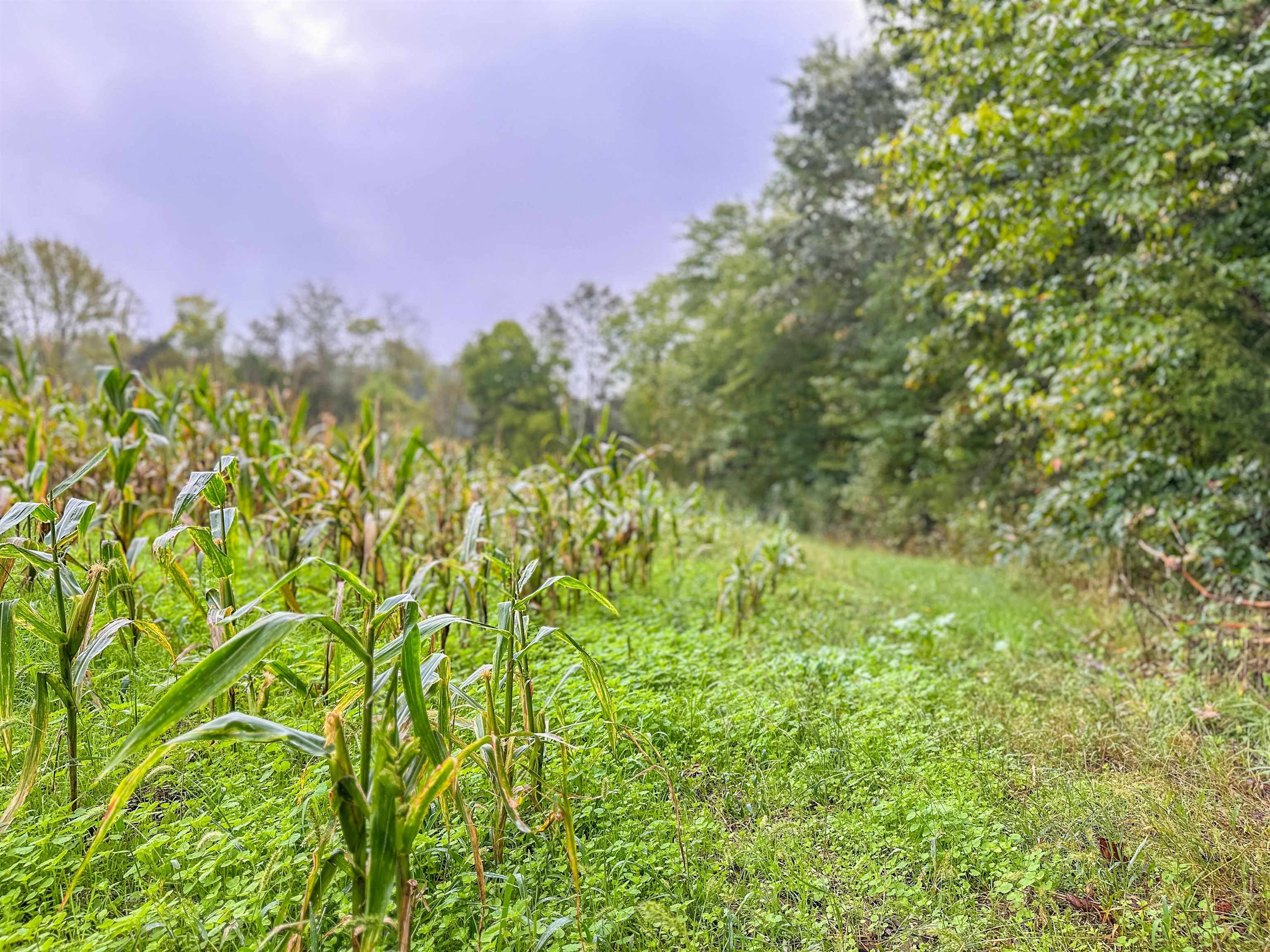Tbd Courthouse Road Palmyra, VA 22963 - Photo 34 of 40 a view of a city